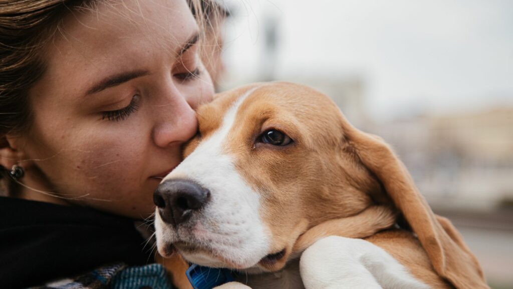 Pet Grooming Business